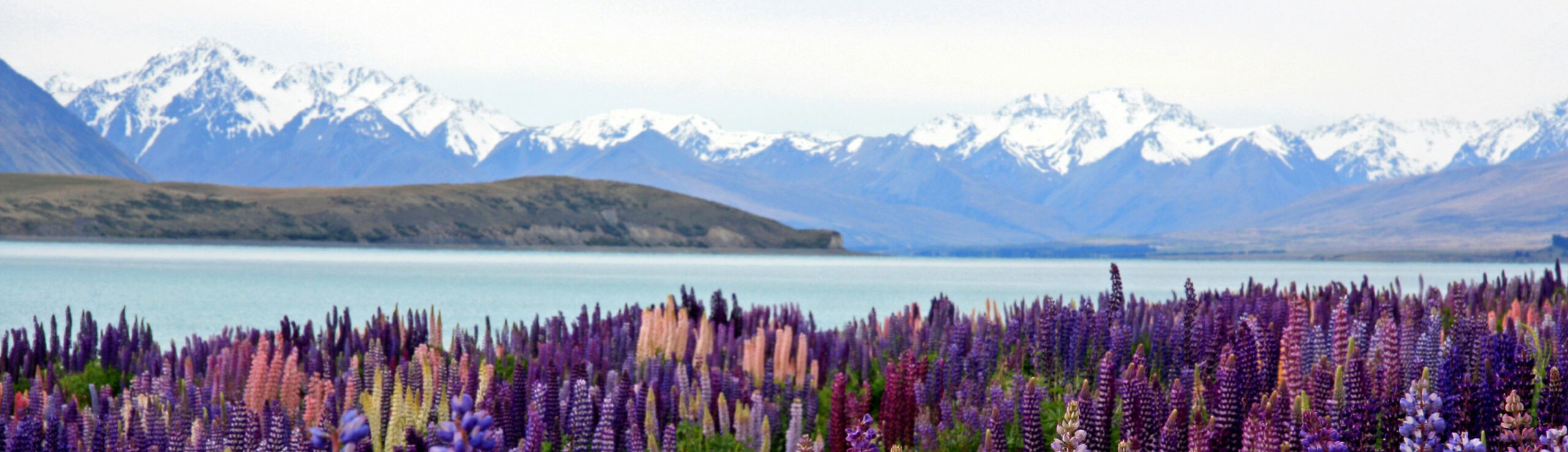 The Ultimate Auckland to Christchurch Itinerary