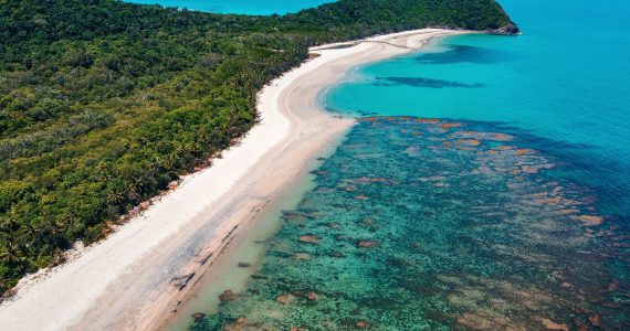 Cairns Cape Tribulation