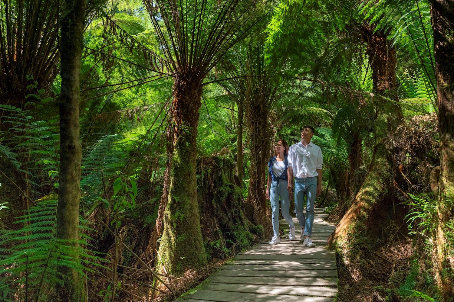 Great Ocean Road &amp; Otway