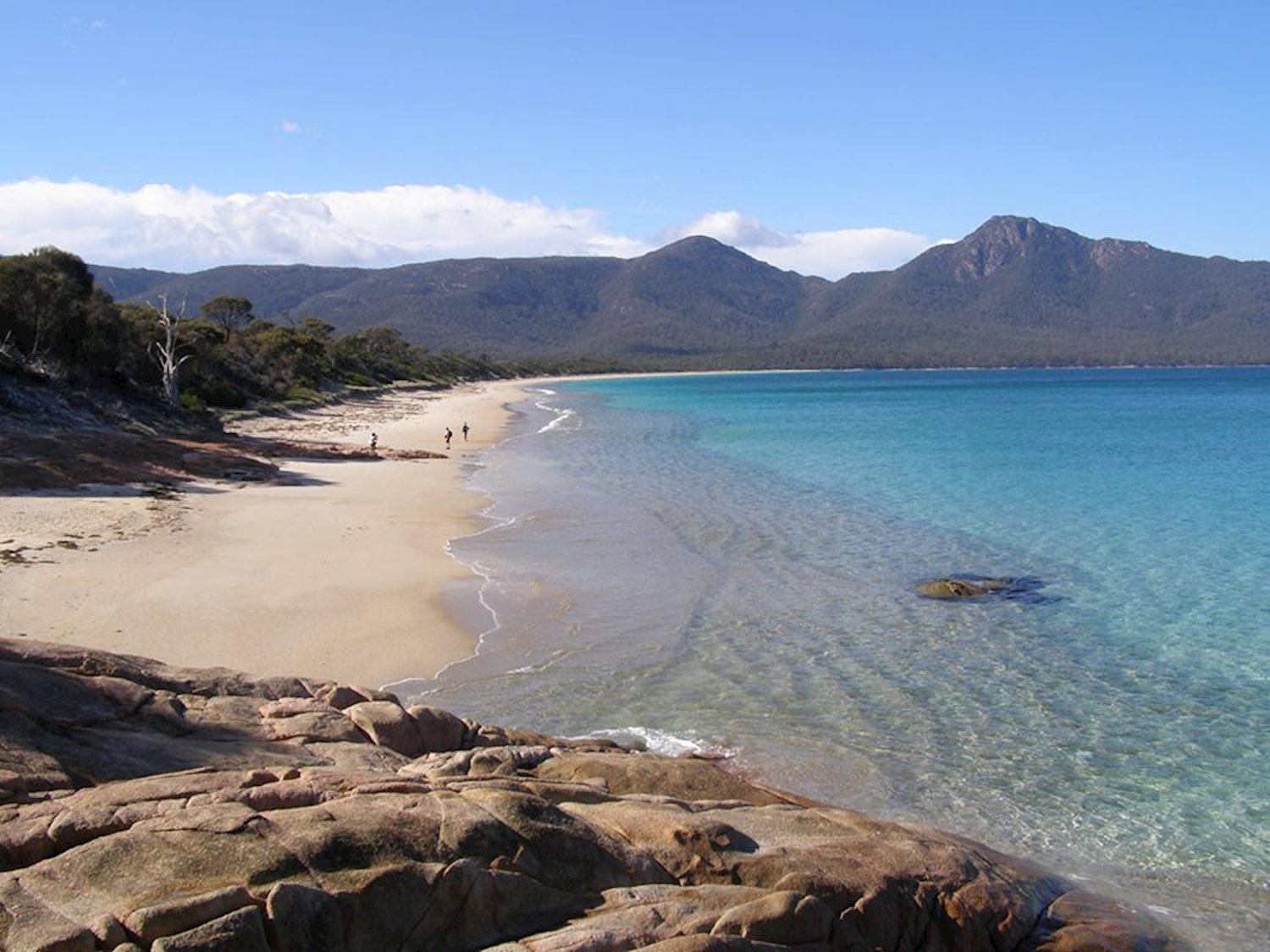 Tasmania Ultimate