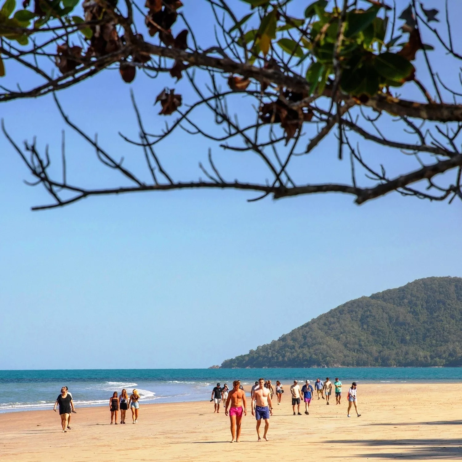 Groups of people walking on a sandy tropical beach with a green headland behind