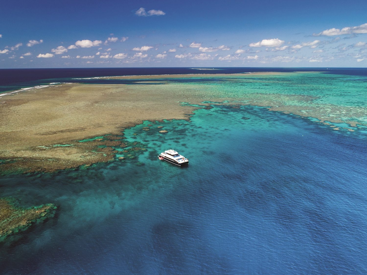 Calypso Reef Snorkel & Dive