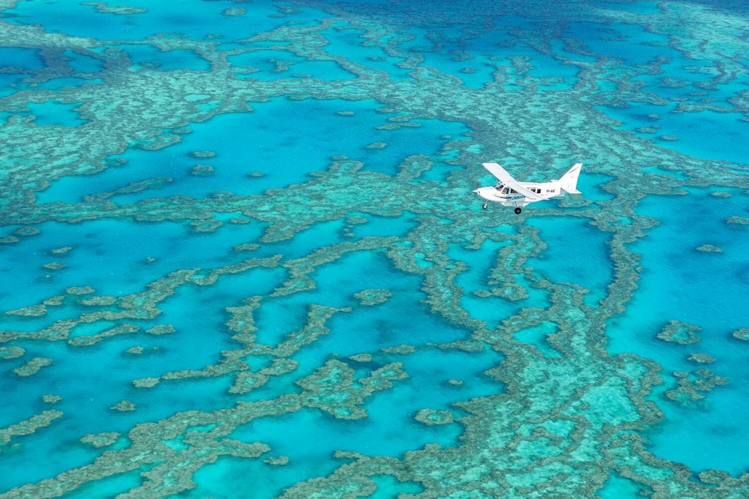 Scenic Flight Heart Reef & Whitehaven