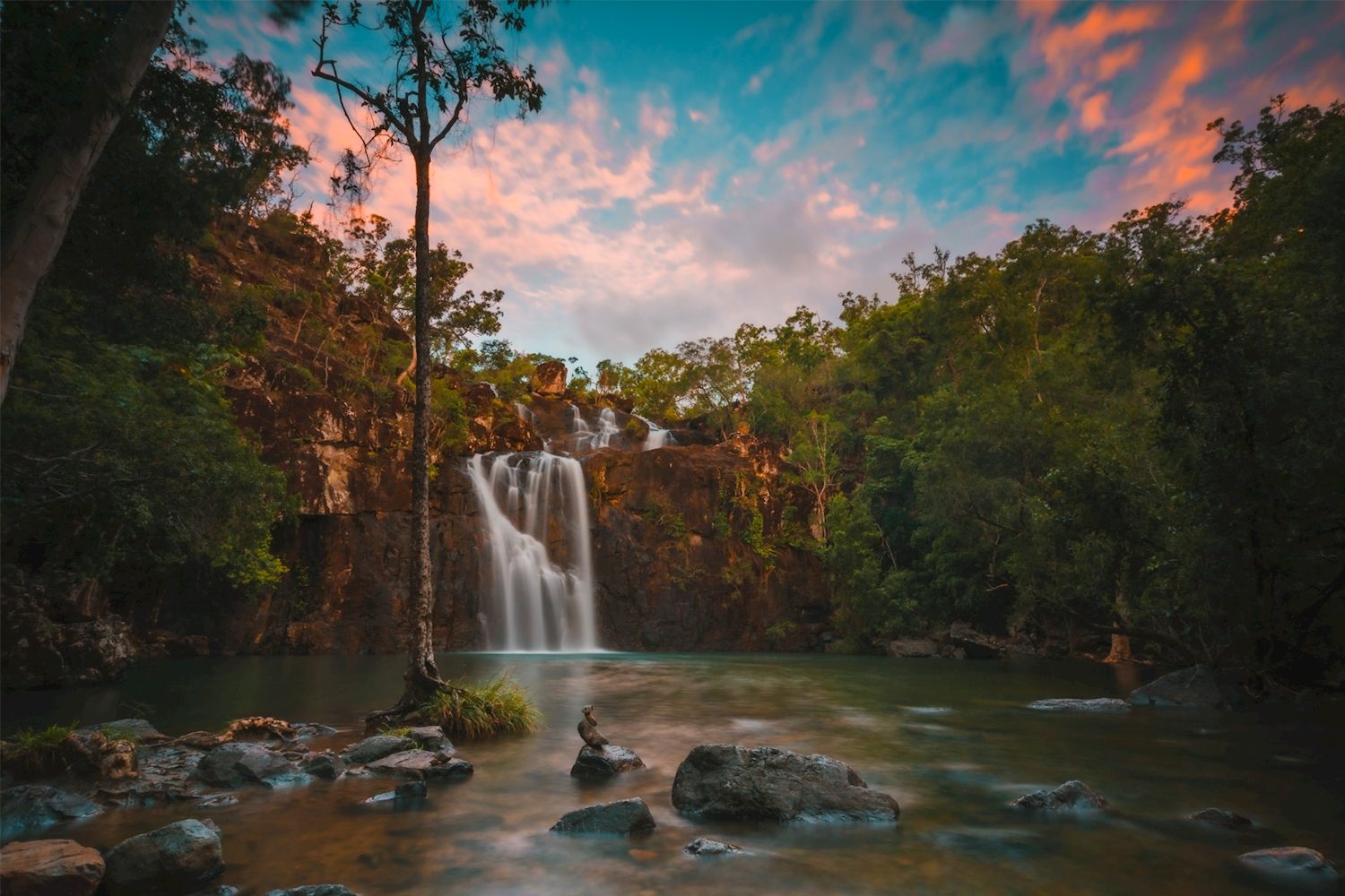 Waterfalls & Cedar Creek