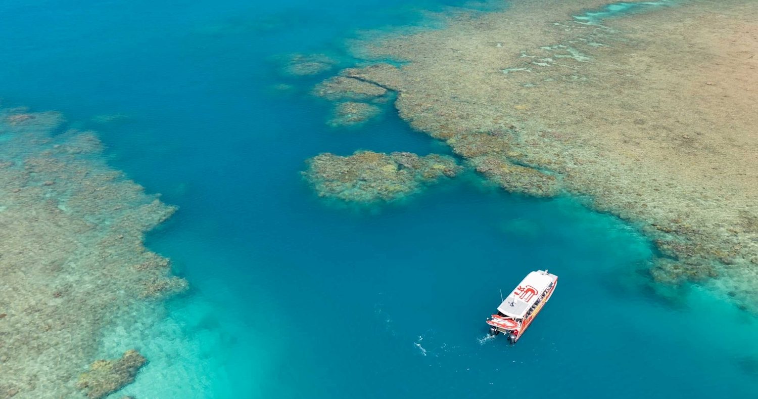 Thundercat Whitsundays