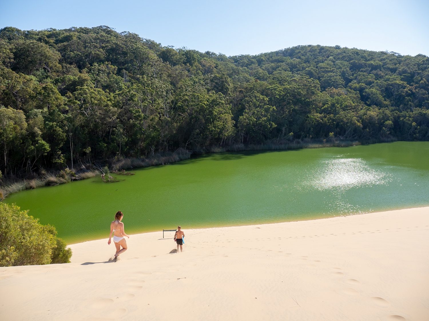 Green lake beside a large sand dune with forest behind