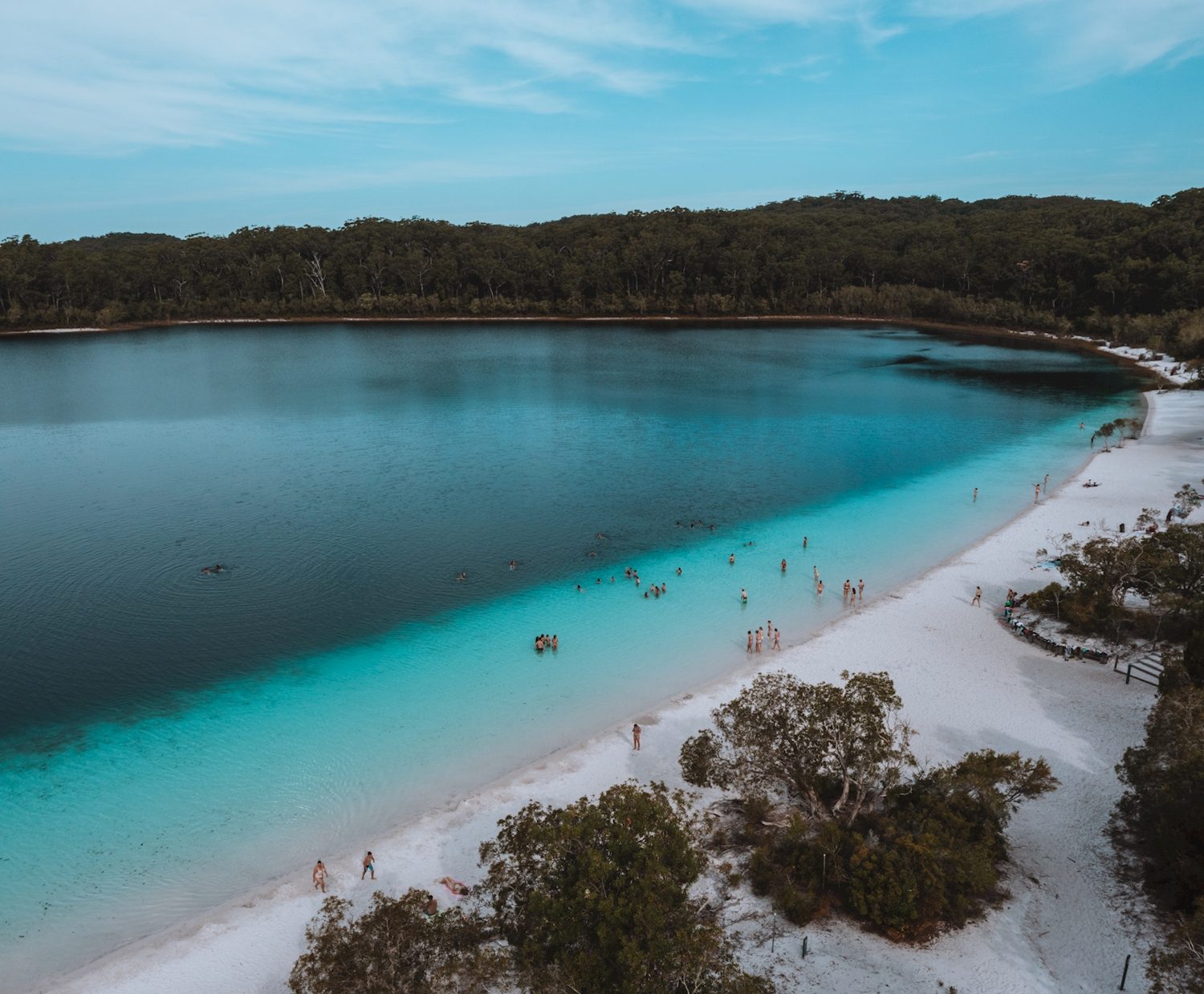 Clear blue lake with a white sand shore surrounded by forest on K’gari
