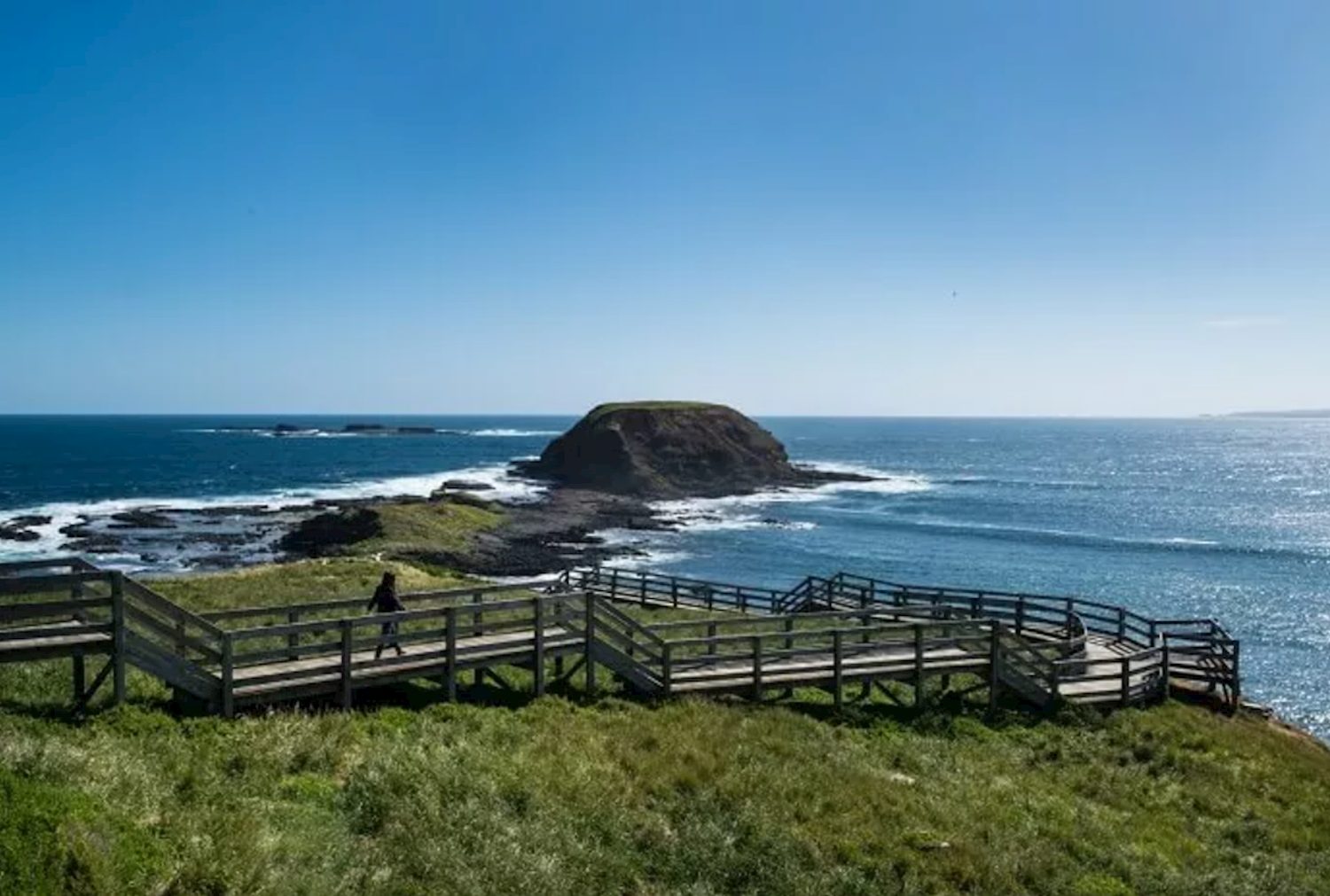 Phillip Island & Penguins