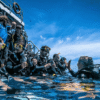 Pro Dive Liveabord