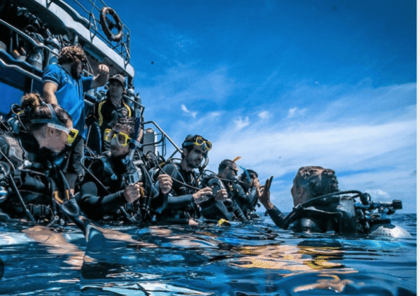 Pro Dive Liveabord