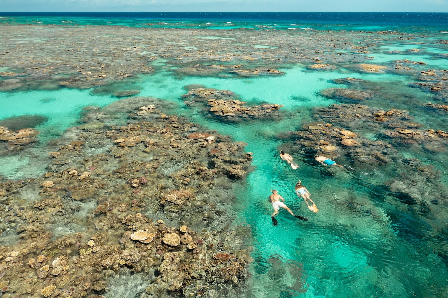 Silverswift Outer Reef Snorkel