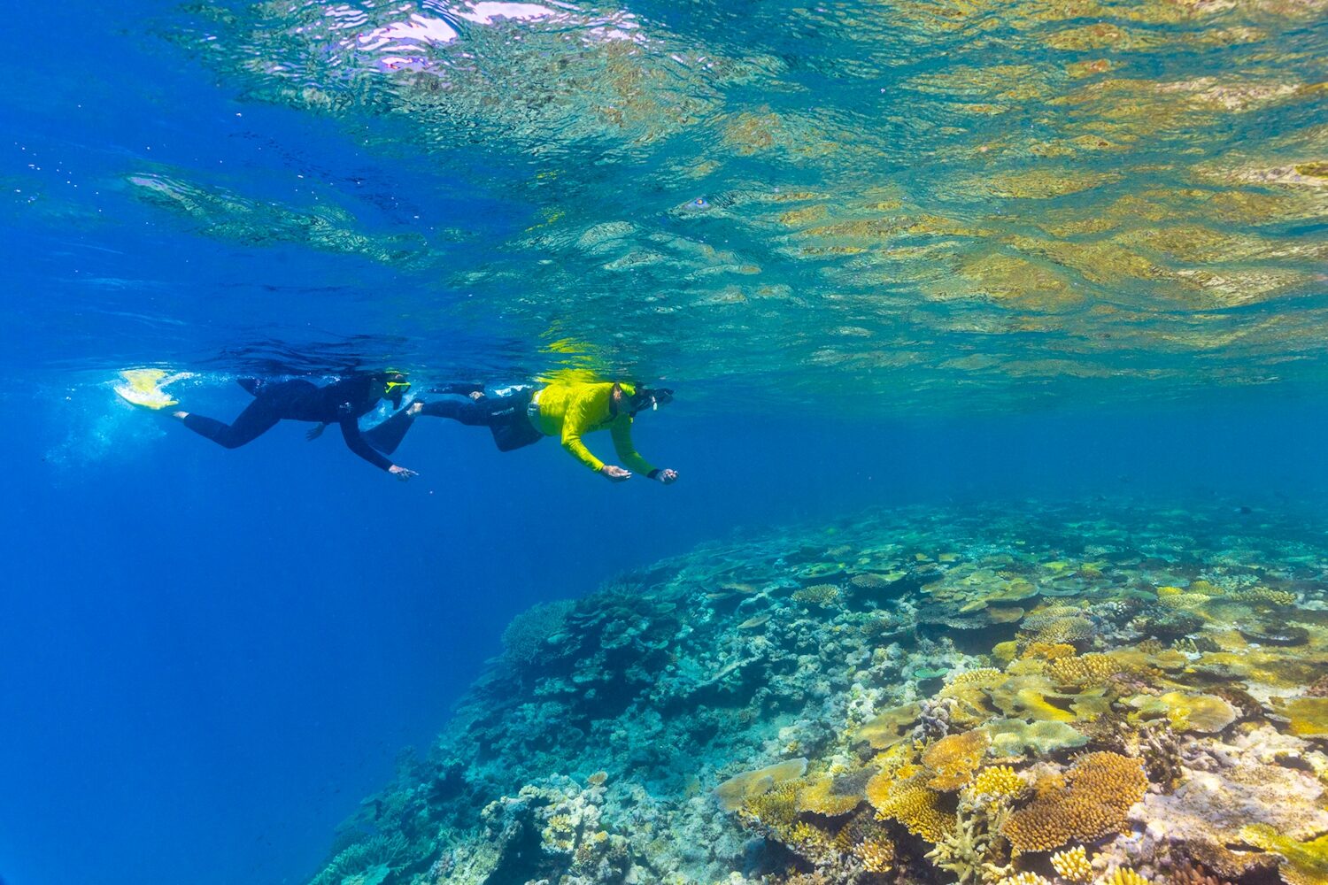 Great Barrier Reef Snorkel | Magnetic Island