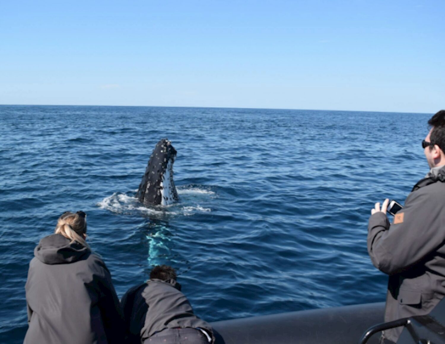 Guests in spray jackets watching a humpback whale surface beside the boat