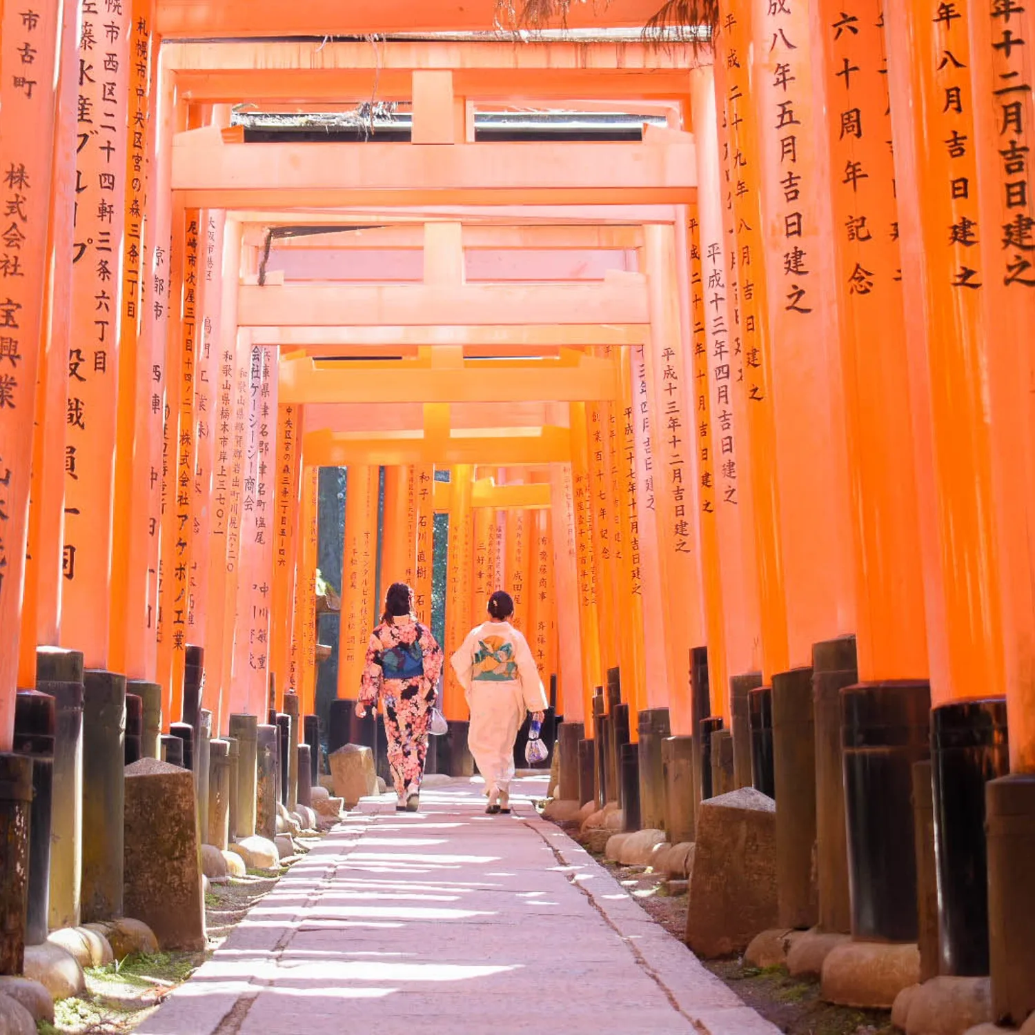 Japan Adventure 13-Day Group Tour | Backpacker